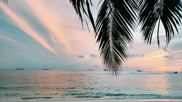 Comment choisir des chaussures adaptées pour un camping en milieu rocailleux?