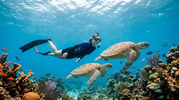 Quels sont les meilleurs spots pour une plongée en apnée avec les tortues de mer aux Seychelles?
