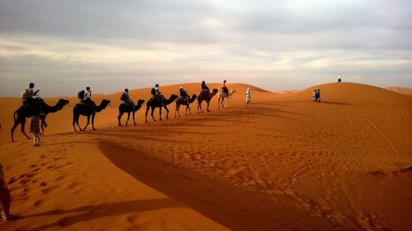 Quels sont les conseils pour une randonnée de plusieurs jours dans le désert du Sahara?